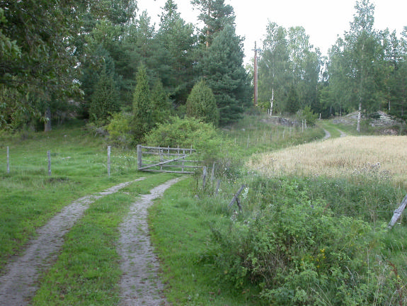 kanske inte skötseln är särskilt traditionell. Om man med traditionell skötsel inbegriper dynamik, kan också ohävd vara en del av den traditionella skötseln.