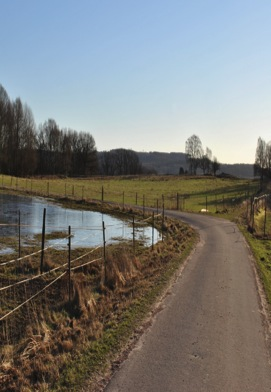 Luppen kan användas och riktas till ungdomar i olika åldrar, från 13 år till 25 år. I Halmstads kommun har politikerna valt att rikta enkäten till ungdomar i åk 8 i grundskolan samt åk 2 på gymnasiet.