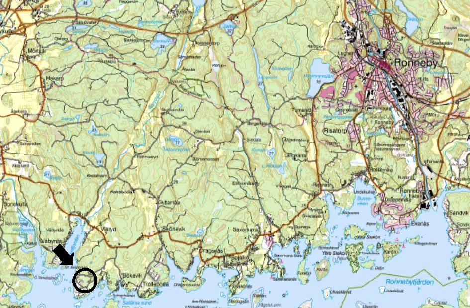 Syfte Arterna sandödla och hasselsnok är påträffade i landskapet vid Bökevik.