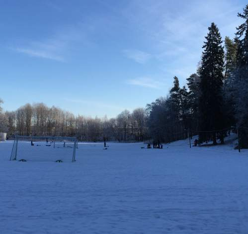 Pulkaåkning avser möjligheten att åka pulka i en öppen backe eller grässlänt som har en plan yta nertill. Backen bör vara minst 50 meter lång, 10 meter bred och ha en lutning på minst 1:2.