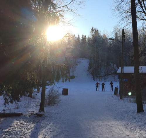 I stadsdelens park- och naturmark finns även många mindre backar. Även om dessa är välanvända har de inte inkluderats i tillgångsanalysen eftersom de inte uppfyller kraven.