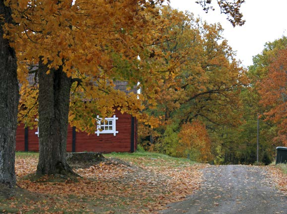 Varannan tisdag 19.00 i Vissefjärda församlingshem. Start: 21 okt (därefter 3 träffar) Anmälan och info: Bo Brunzell, på tel 254 41 Valdagen Gudstjänst i Mikaelsgården 14 sep kl 16.