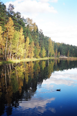 Höstens träff med Brage i Noux i Finland Noux är en stadsdel i Esbo stad. Noux är ett gammalt bynamn och man tror, att namnet kommer från ett samiskt ord, som betyder svan.