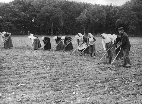 Förändringar kring sekelskiftet 1800/1900 - tal Slutet av