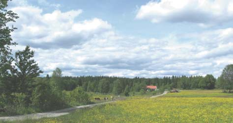 landskapet som skog (30 meter), kyrka (15 meter) högspänningsledning (40 meter).