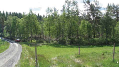 Skogsmarken skulle kunna tåla noggrant placerade vindkraftsanläggningar.