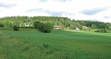 odlingslandskap. Det ger en relativt låg visuell tålighet mot nya inslag. Etablering av vindkraftverk i anslutning till sjön bedöms därmed vara mindre lämpligt. Skogsområde i område 10. Buaråsen.