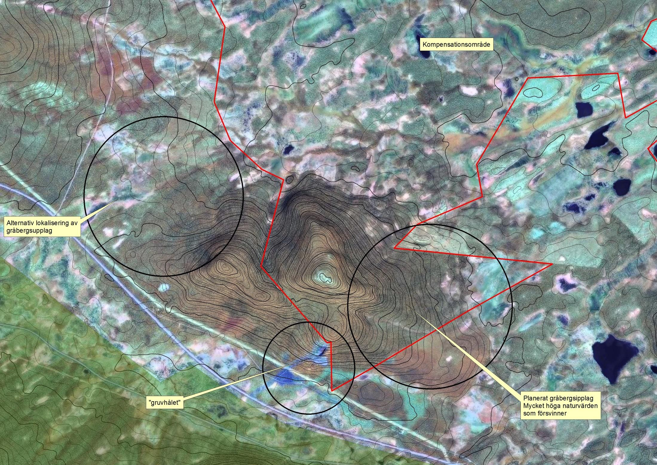 >100 ha granurskog av örtrik typ