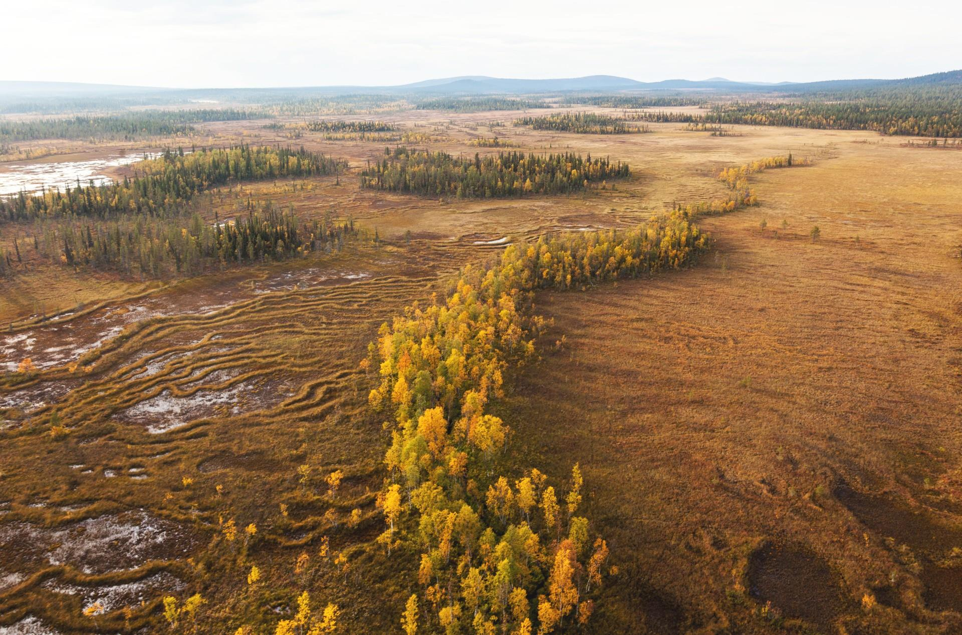 Svierrku (oskyddat myr- och