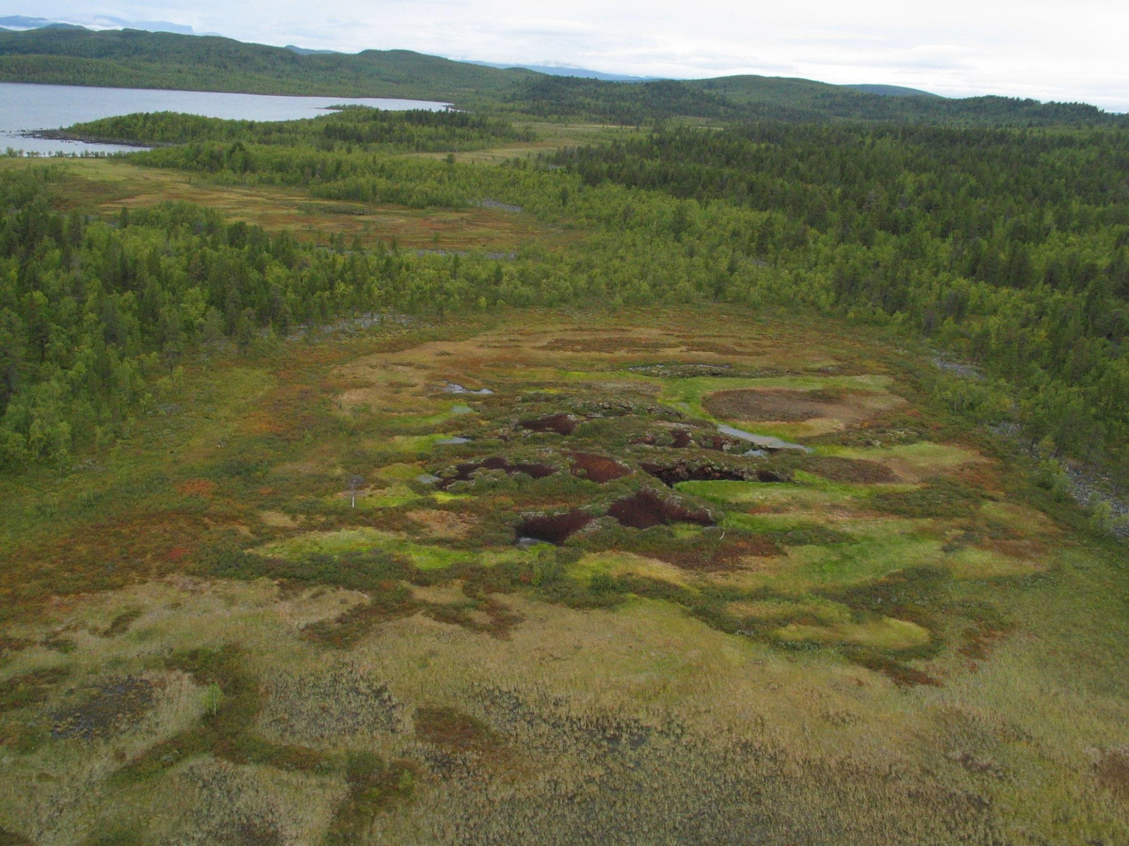 Palsmyr, Alajärvi naturreservat, Kiruna kommun.