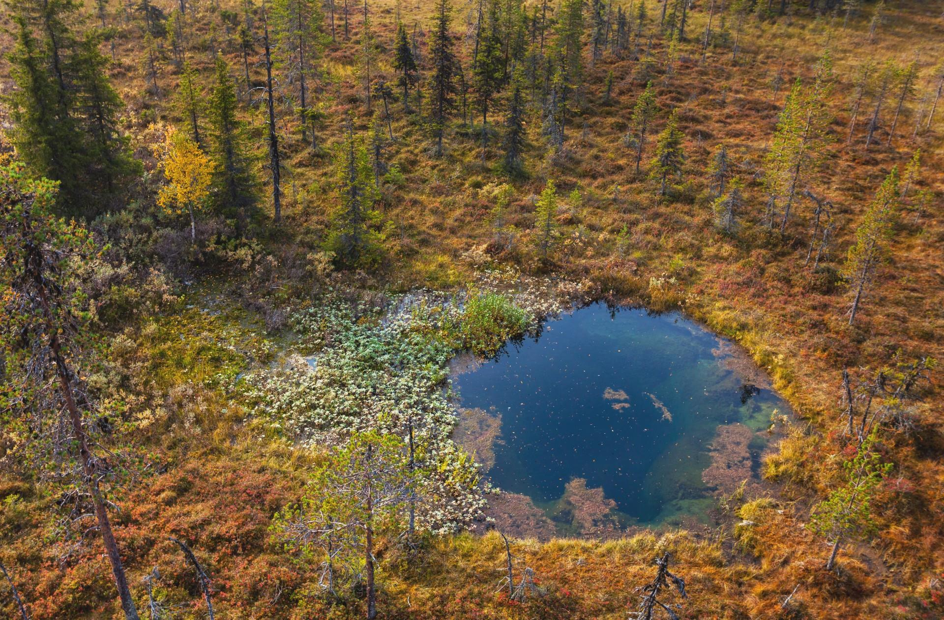 Stor kallkälla, Ainavarto