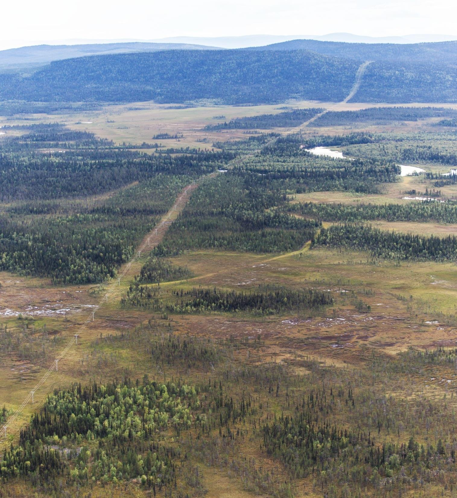 Kraftledningar skär genom landskapet, ofta genom orörd natur. Kompensationsåtgärder vid t.ex.