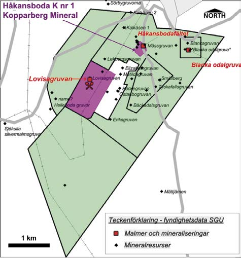 Geologin karakteriseras av omvandlade vulkaniska och klastiska sediment samt karbonatstenar vilka intruderats av graniter och diabas.