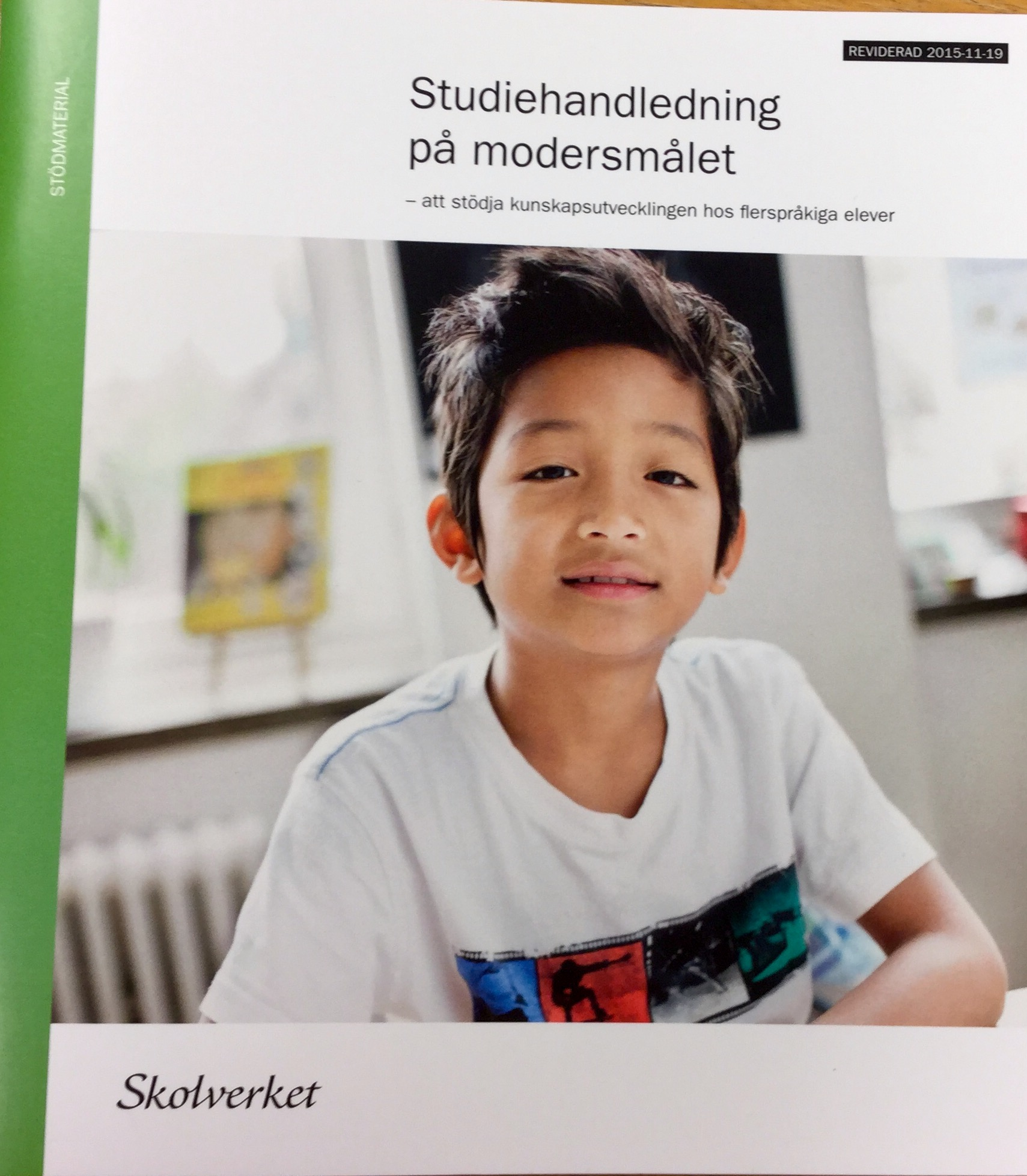 Vad är studiehandledning?