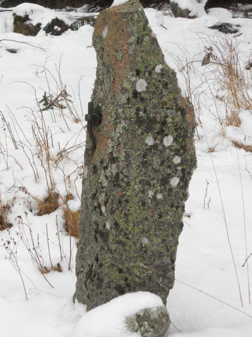 Virkesförråd uppgår efter justering till 16 250 m 3 sk. Medelbonitet 6,3 m 3 sk/ha/år.