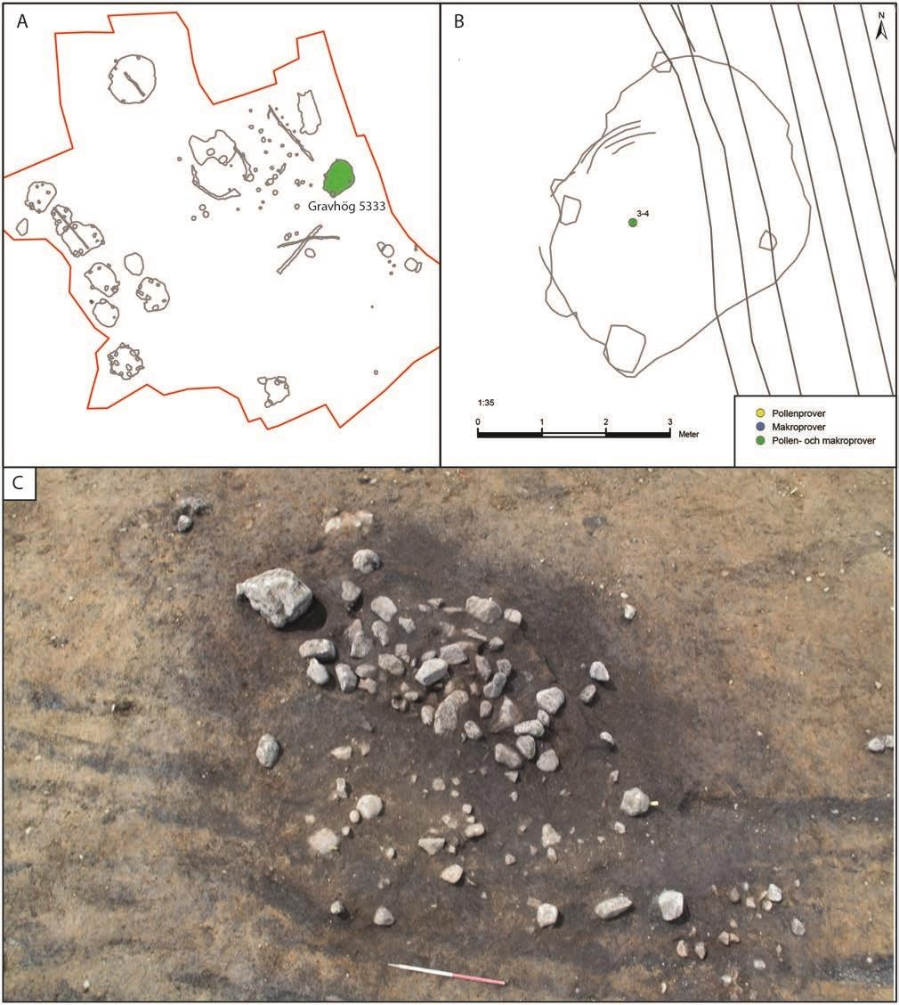 Naturvitenskapelige analyser på Tjemslandsmarka Figur 8. Positionen för (A) gravhög 5333 inom utgrävningsområdet och (B) uttag av pollen- och makrofossilprover.