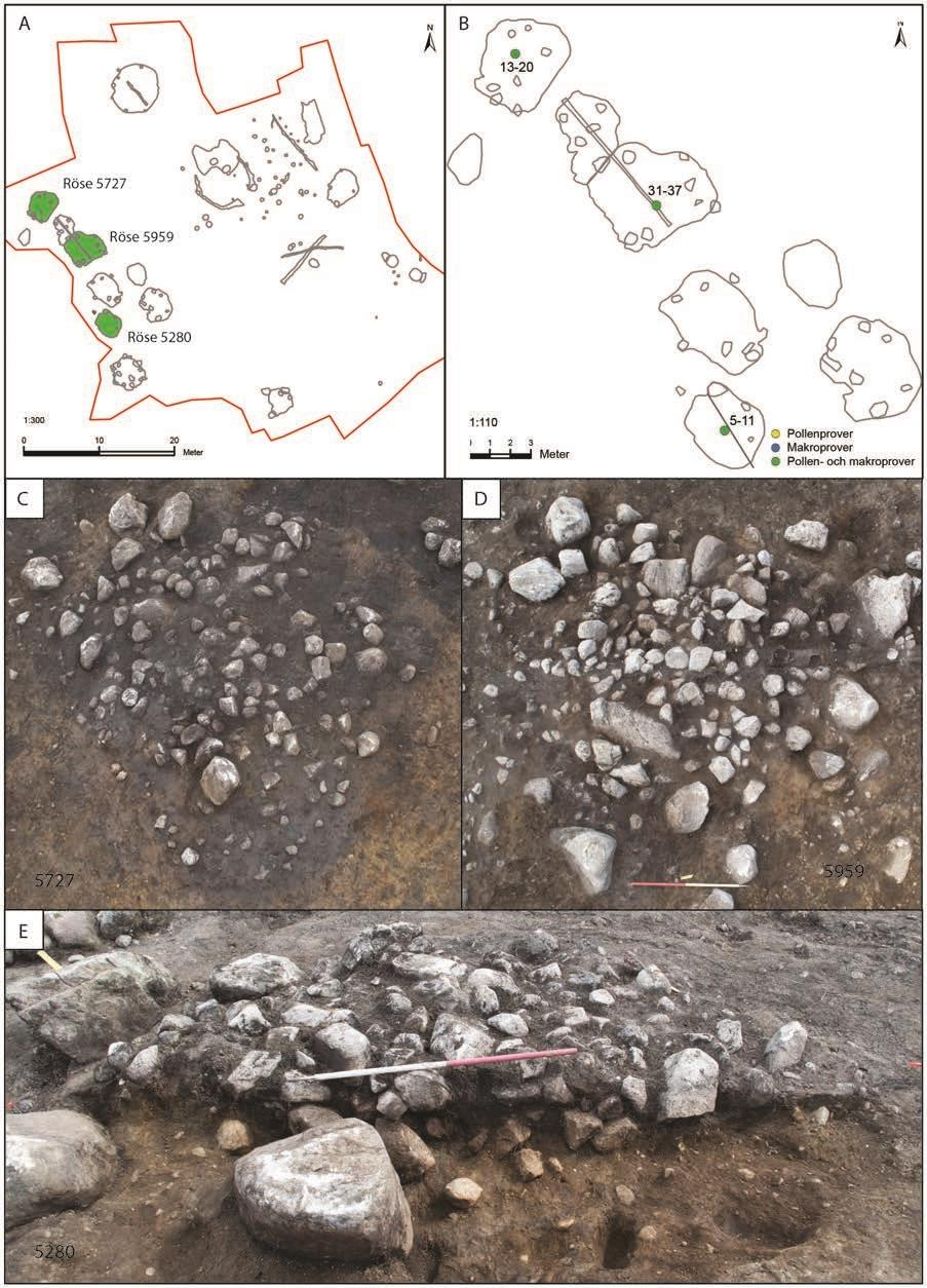 Naturvitenskapelige analyser på Tjemslandsmarka Figur 10. Positionen för (A) röse 5727, 5959 och 5280 inom utgrävningsområdet och (B) uttag av pollen- och makrofossilprover.