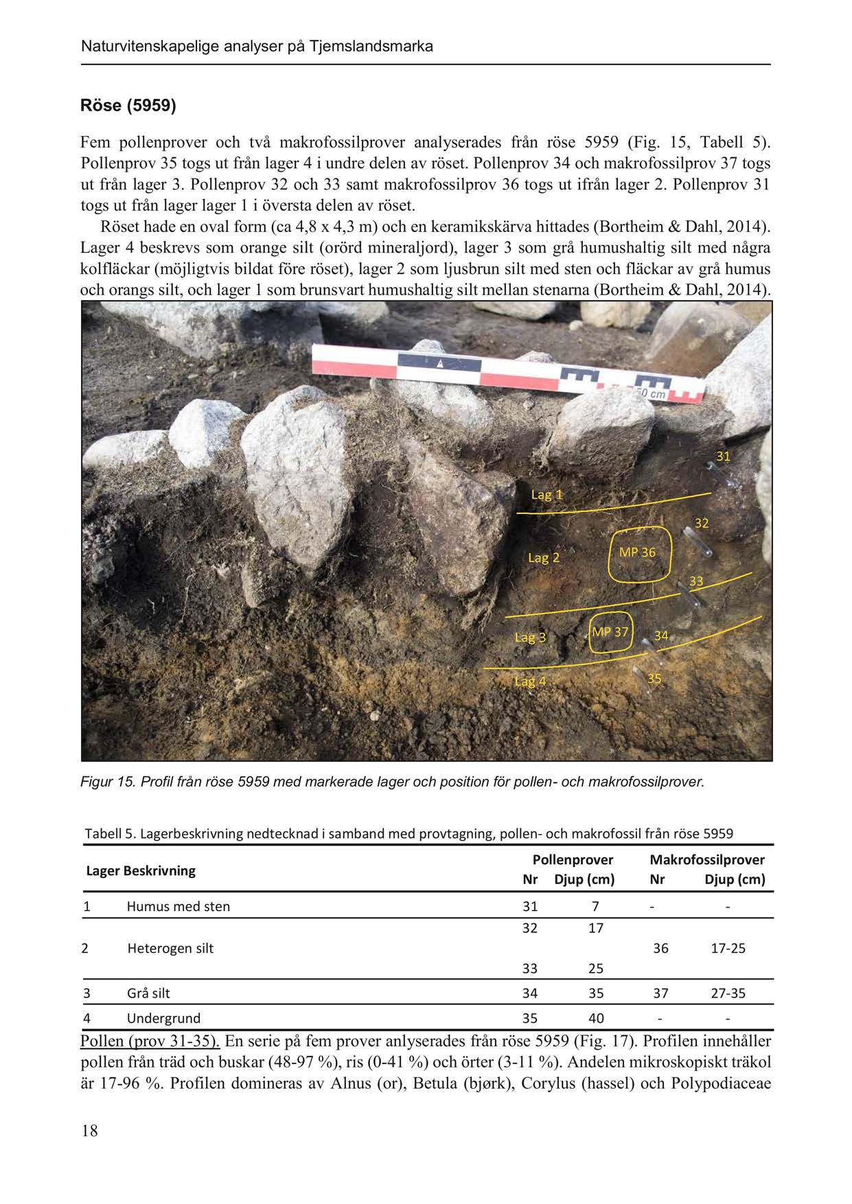 Naturvitenskapelige analyser på Tjemslandsmarka Röse (5959) Fem pollenprover och två makrofossilprover analyserades från röse 5959 (Fig. 15, Tabell 5).