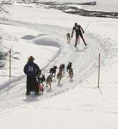 00 Veterinärbesiktning 14.00-18.00 Matservering i Föreningshuset. 19.00 Prisutdelning i Föreningshuset. 19.30- Pubafton med underhållning, Under dagen finns kaffe och hembakt vid de flesta växlarna samt vid målet i Björksele.