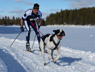 Ett stort tack till våra sponsorer! Foto Kent Nilssons vägbyggnader Vindeln Västerbottens Älghundklubb Fahlgrens Åkeri AB Vindeln Lapplandskåtan AB Sorsele Statoil Vännäsby www.draghundsport.