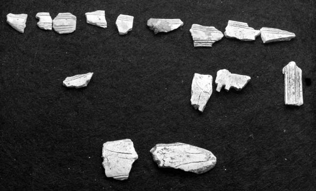 Fragmenten från Tomteboda 263 Fig. 10. Kamfragment från grav A15. Foto J. Hamilton. Comb fragments from grave A15.