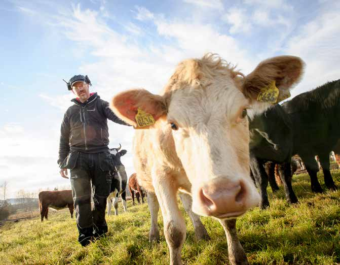Inriktningsmål i olika perspektiv Medarbetare Kommunens medarbetare ska känna delaktighet och engagemang samt ges möjlighet att medverka i verksamheternas kvalitetsoch utvecklingsarbete.