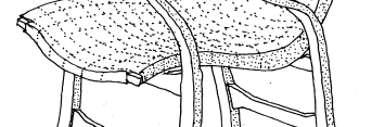 Var verksam på 1930-talet Sveriges första cykel?