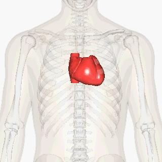Hjärtat Elchock innebär en skadlig verkan av elektrisk ström som passerar genom en människas eller ett djurs kropp.