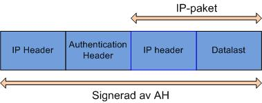 utan även IP headern. IP-paketet behandlas som en AH/ESP datalast, och krypteras med en ny IP header.