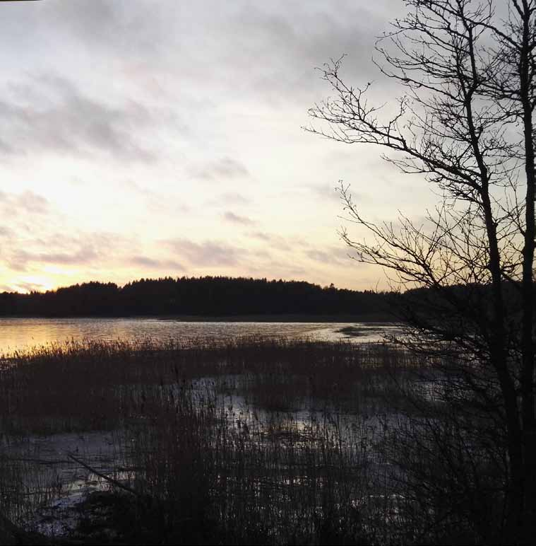 Parentesen januari 2017 nr 1 pargasiternas infoblad När solen går ned stiger natten upp och går in bland träden kommer