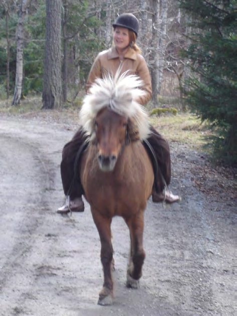 Hästbyar En hästby ger hästintresserade familjer möjlighet att bo i närheten av sina hästar.