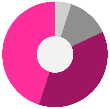 Majoriteten av lärarna anser att programmet har varit fungerande, intressant och innehållsmässigt lämpligt.