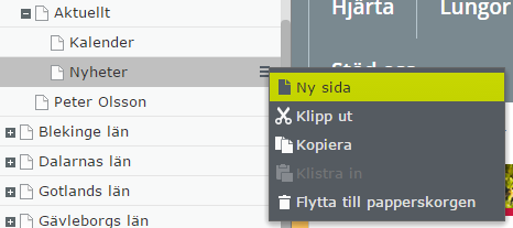 Skapa Nyheter För att skapa en Nyhet navigerar ni till Aktuellt och öppnar den genom att klicka på plusset till vänster om texten och klickar sedan på Nyheter. Välj sedan att skapa en Ny Sida.