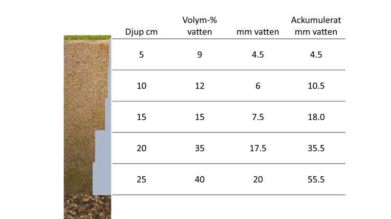 Vi har sett att en del greenkeepers, som upplever vinterskador för första gången, väntar för länge. De hoppas att gräset kommer tillbaka av sig själv, men det sker inte tillräckligt fort.