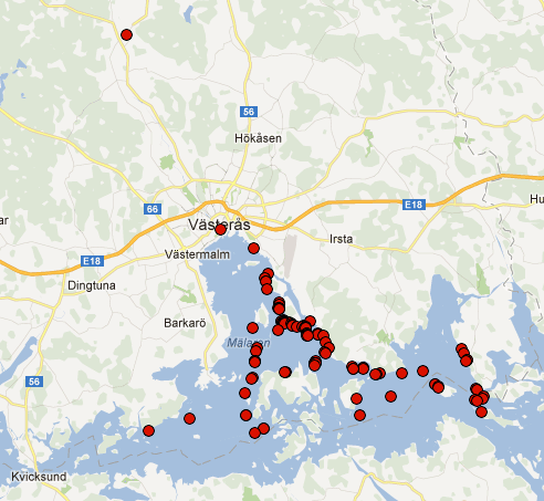 Stränderna ska vara exponerade, utan eller med tunt vassbälte och den växer nästan uteslutande i vattenbrynet där den sammanhängande växtligheten slutar.