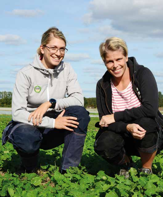 Helena Håkansson och Madeleine Nilsson skötte det praktiska fält arbetet i Rapsmästaren när killarna fegade ur.