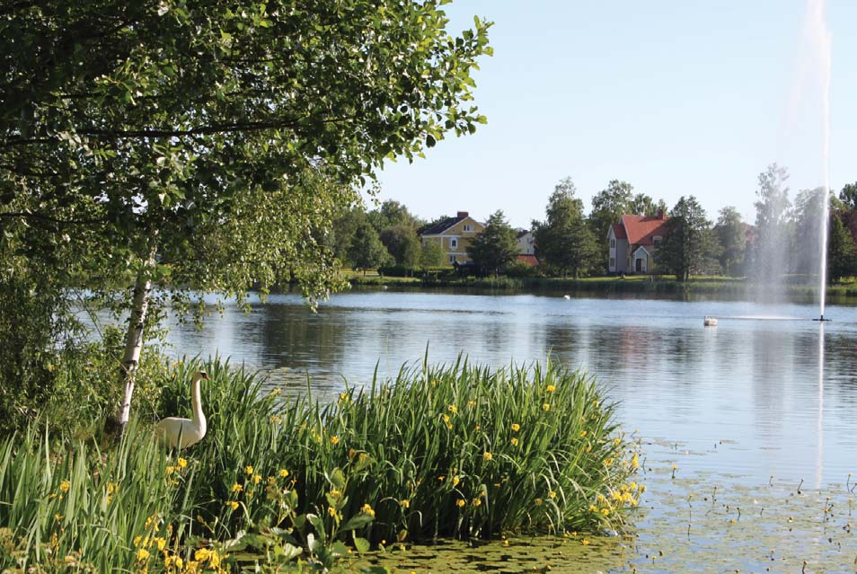 vara exempel på material som passar in i stadsparken. Vatten Närheten till Ingsbergssjön är kanske Stadsparkens största tillgång.