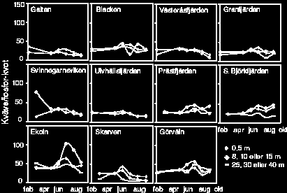 Totalkväve/totalfosforskvoten i