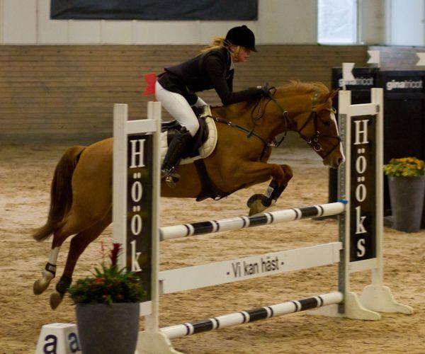 Fälttävlan SM På SM för junior och young rider i Örebro deltog Sara Fritz/Ratata från Trossnäs FK.