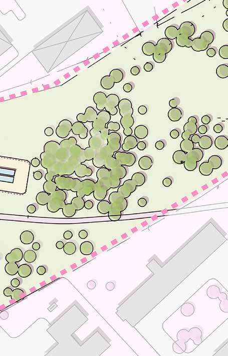 Vi behåller skogen men öppnar varsamt upp den mot den kommande skolans gård. I mötet mellan skolgården och naturen placerar vi en enklare aktivitetsutrustning som passar skolans åldersgrupp.