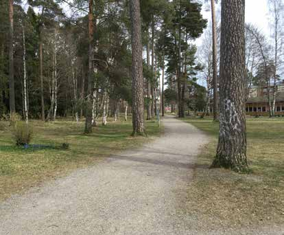 ÅBYPARKEN - EN PARK MED SKOGSKÄNSLA Skogen i det