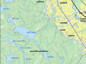 I sidoravinerna fi nns höga naturvärden kopplade till ravinskogar, rika