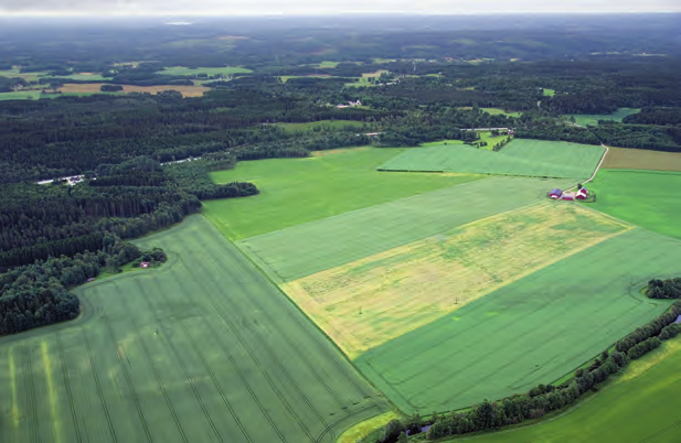 Jordbrukspräglat mosaiklandskap (III) Det småskaliga landskapet är format av berggrundens topografi ska variationer.