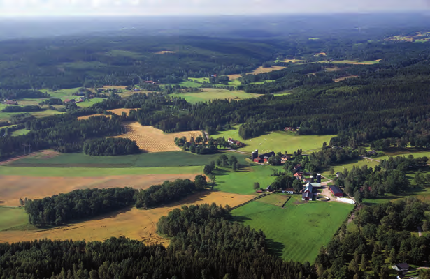 Dessa är betydelsefulla för landskapsbilden och särskilt intressanta från naturvårdssynpunkt. På några ställen förekommer öppna våtmarker i sänkor och sprickdalar ibland med inslag av vattenspeglar.