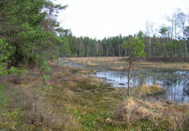 Även söder om E 20 i Hol förekommer ekskogsmiljöer i det kuperade odlingslandskap som av Natur centrum fått klass 2 (område 36).