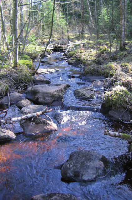 rar även över vägen i Nygård, Hol och Bäne, vid Tubbetorp samt i direkt anslutning till Vårgårda tätort.