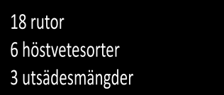 (SW0055). Försöket var utlagt som ett split-plot-försök med två upprepningar på varje plats. På varje plats såddes försöken vid två såtidpunkter, med sex sorter och med tre utsädesmängder.