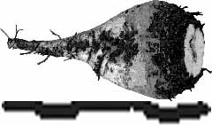 siktband-stålrullar-rouletter Minska avståndet/höjden siktband-stålrullar-rouletter Kontrollera roulettzinkor (förlorade/brutna) Minska