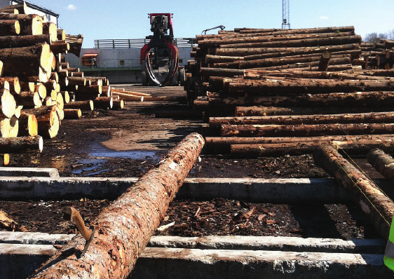 7 Avverkning och virkesmätning Felling and Wood Measurement 6 7 Årlig avverkning fördelad på trädslag, huggningsarter och ägargrupper publiceras i Skogsdata och finns tillgänglig på SLUs