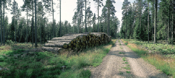 8 Virkestransporter Timber Transport 8 Virkestransporter Thang Tran Under 2011 Utgjorde skogs- och skogsindustriprodukter ca 21 % av inrikes transportarbete med lastbil och järnväg Uppgick